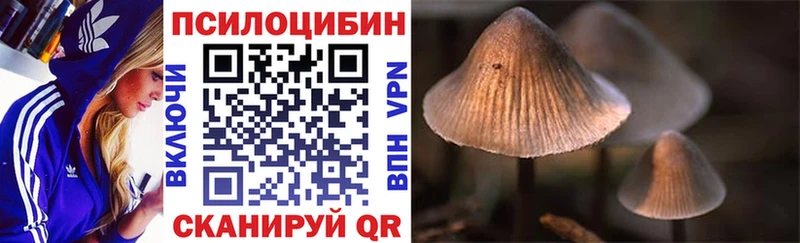 Купить  Видное  Псилоцибиновые грибы MAGIC MUSHROOMS 